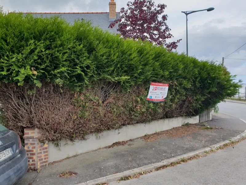 Allure Paysage, remplacement et conception de clôture